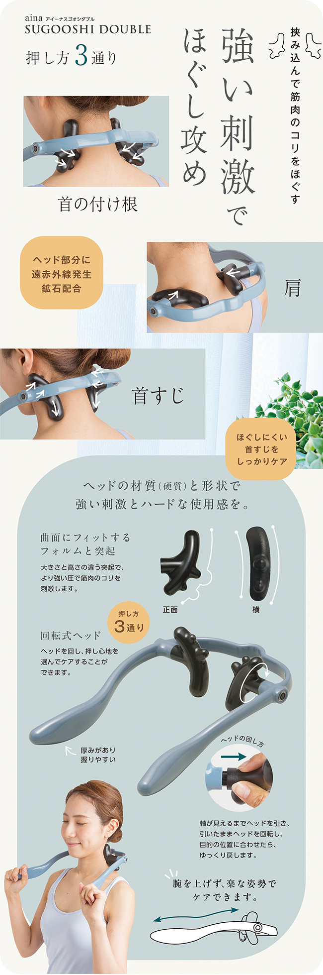 アイーナスゴオシダブル